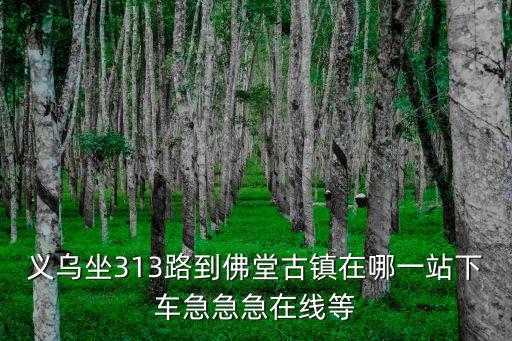 義烏坐313路到佛堂古鎮在哪一站下車急急急在線等