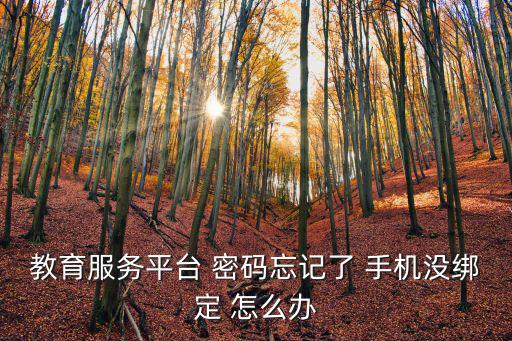 教育服務平臺 密碼忘記了 手機沒綁定 怎么辦
