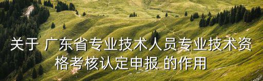 關于 廣東省專業技術人員專業技術資格考核認定申報 的作用
