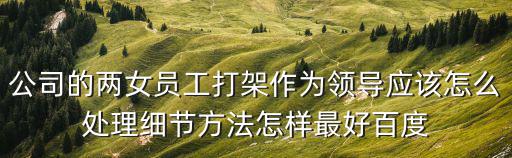 公司的兩女員工打架作為領導應該怎么處理細節方法怎樣最好百度