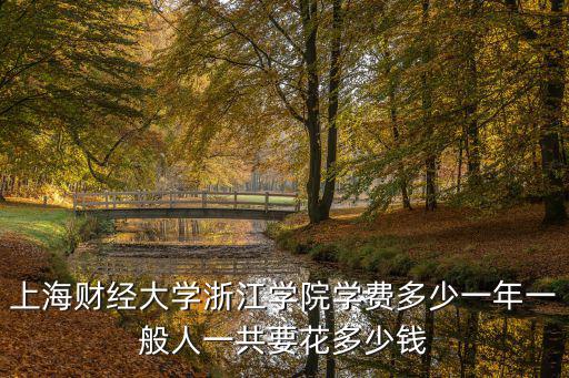 上海財經大學浙江學院學費多少一年一般人一共要花多少錢