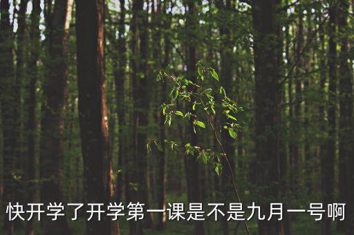 快開學了開學第一課是不是九月一號啊