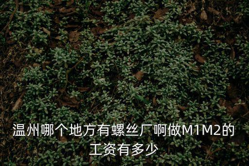 溫州哪個地方有螺絲廠啊做M1M2的工資有多少