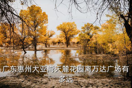 廣東惠州大亞灣天麓花園離萬達(dá)廣場有多遠(yuǎn)