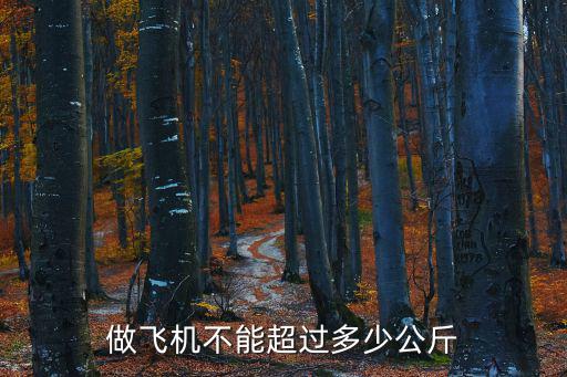 坐飛機行李不能超過多少斤，做飛機不能超過多少公斤