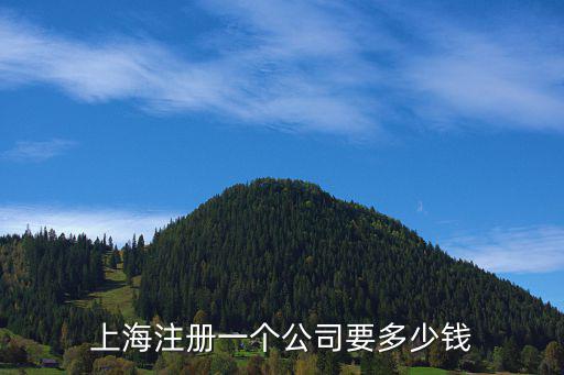 上海注冊一個公司要多少錢
