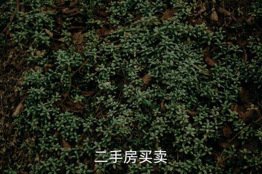 二手房買賣
