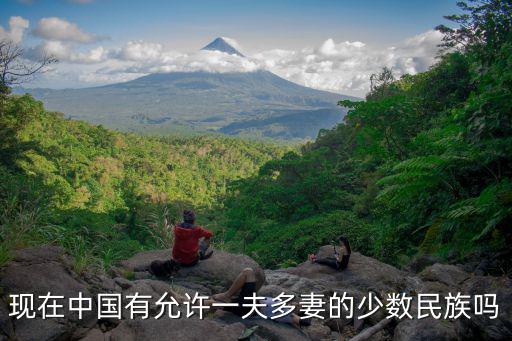 一夫多妻的國家，現在中國有允許一夫多妻的少數民族嗎