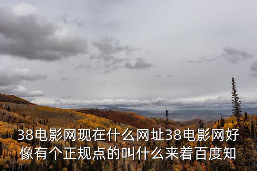 三八電影，今年三八節上映什么電影