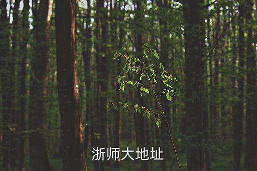 浙師大地址