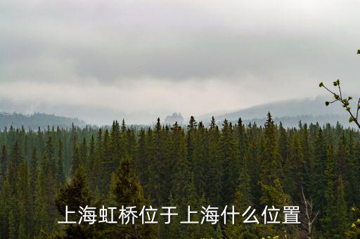 上海虹橋，請問上海虹橋在哪里