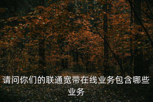 聯通寬帶業務，聯通寬帶業務有幾種