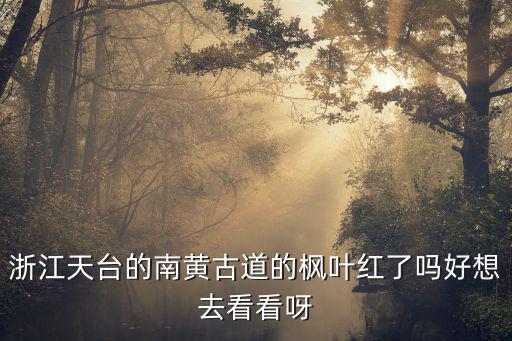 浙江天臺(tái)的南黃古道的楓葉紅了嗎好想去看看呀