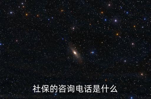 社?？ú樵冸娫?，社保電話多少啊