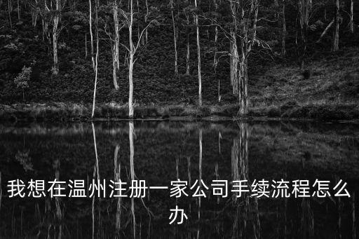 溫州公司注冊，溫州注冊公司需要走那些流程