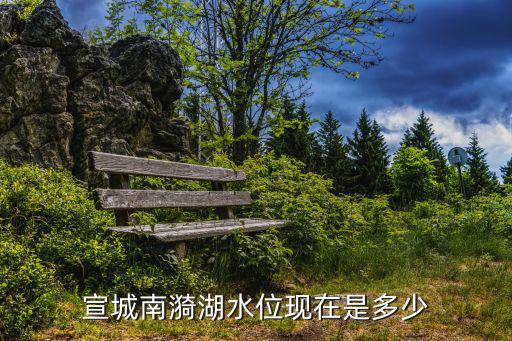 實時水庫水位查詢，永吳公路水位怎么查