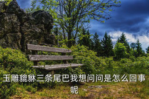 玉雕貔貅三條尾巴我想問問是怎么回事呢