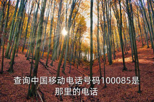 查詢中國移動電話號碼100085是那里的電話
