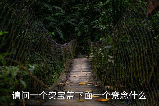 請問一個突寶蓋下面一個尞念什么