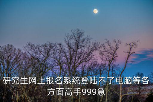 研究生網上報名系統登陸不了電腦等各方面高手999急
