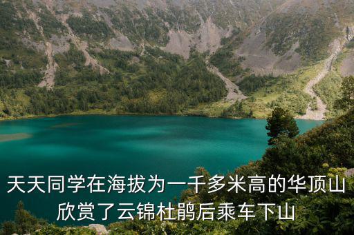 天天同學(xué)在海拔為一千多米高的華頂山欣賞了云錦杜鵑后乘車下山