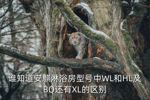 安麒淋浴房，網(wǎng)上哪里能買到正宗的安麒淋浴房