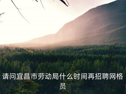 請(qǐng)問宜昌市勞動(dòng)局什么時(shí)間再招聘網(wǎng)格員
