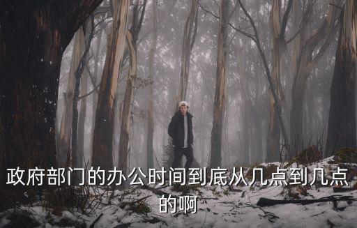 政府部門的辦公時間到底從幾點到幾點的啊