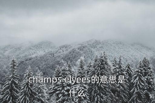 champs elyees的意思是什么