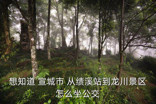 績溪龍川，績溪龍川有什么好玩的
