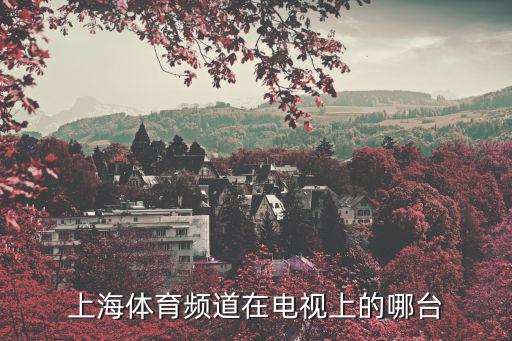 上海體育頻道在電視上的哪臺