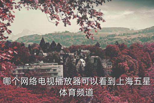 上海體育頻道，上海體育頻道為什么叫五星體育