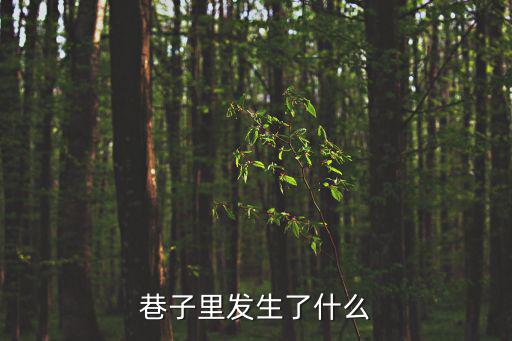 巷子里發生了什么