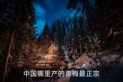 詔安青梅，中國哪里產(chǎn)的青梅最正宗