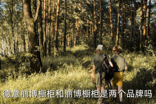 德意麗博櫥柜和麗博櫥柜是兩個品牌嗎