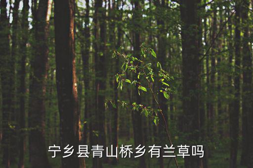 寧鄉縣青山橋鄉有蘭草嗎