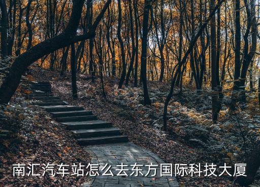 南匯汽車站怎么去東方國際科技大廈