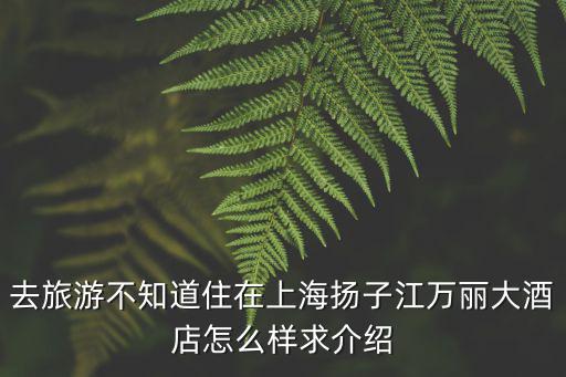 揚子江萬麗大酒店，去旅游不知道住在上海揚子江萬麗大酒店怎么樣求介紹