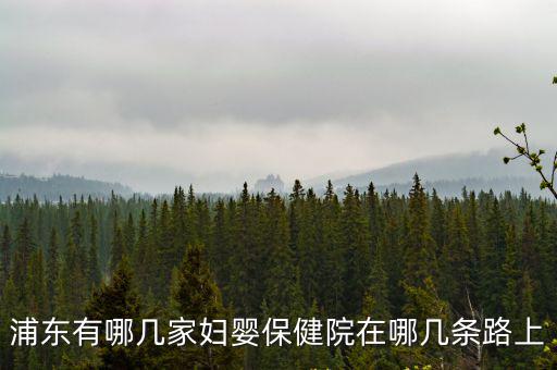 浦東有哪幾家婦嬰保健院在哪幾條路上