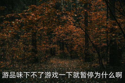 游品味下不了游戲一下就暫停為什么啊