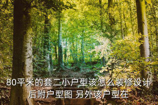 80平米的套二小戶型該怎么裝修設計后附戶型圖 另外該戶型在