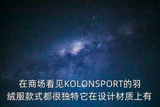 在商場看見KOLONSPORT的羽絨服款式都很獨特它在設計材質上有