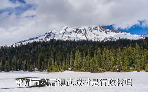 武城村，太原市小店區武城村的郵編是多少