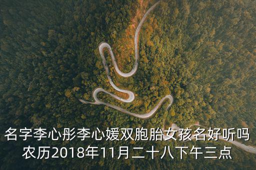 名字李心彤李心媛雙胞胎女孩名好聽嗎農(nóng)歷2018年11月二十八下午三點