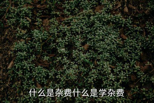 什么是雜費什么是學雜費