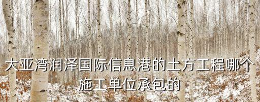 大亞灣信息港，大亞灣有地方門戶 信息網站沒相互交流的站點沒 想了解一下大亞灣