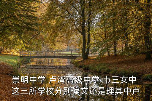 崇明中學 盧灣高級中學 市三女中 這三所學校分別偏文還是理其中盧