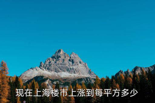 中冶尚城，中冶尚城業(yè)主名單多少錢(qián)1份