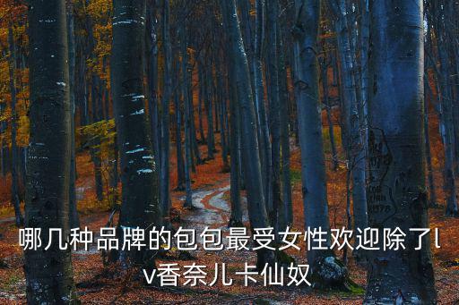哪幾種品牌的包包最受女性歡迎除了lv香奈兒卡仙奴