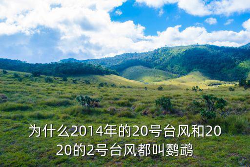 為什么2014年的20號臺風(fēng)和2020的2號臺風(fēng)都叫鸚鵡